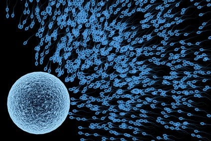 14 Top Tips to Increase Sperm Count