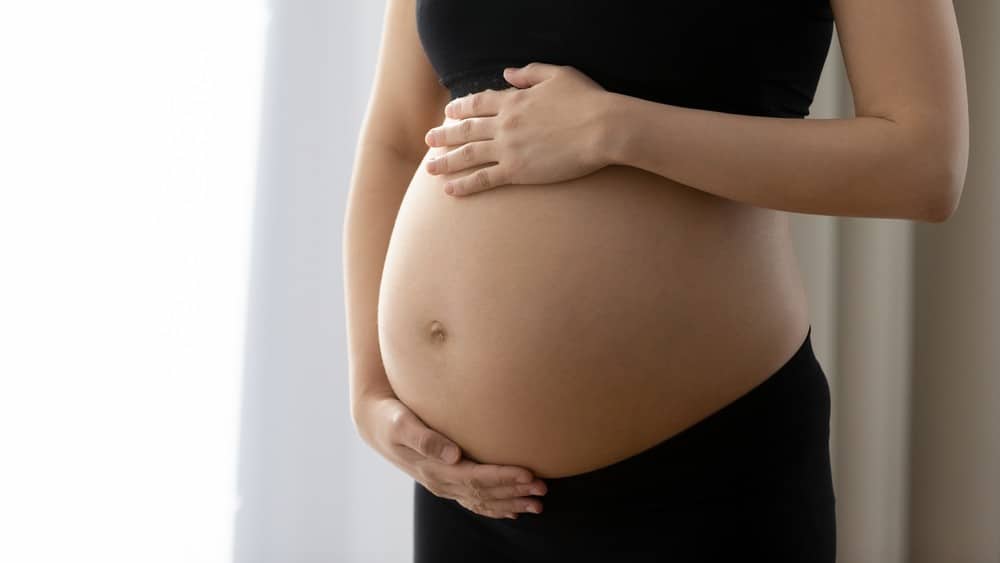 What is a surrogate?