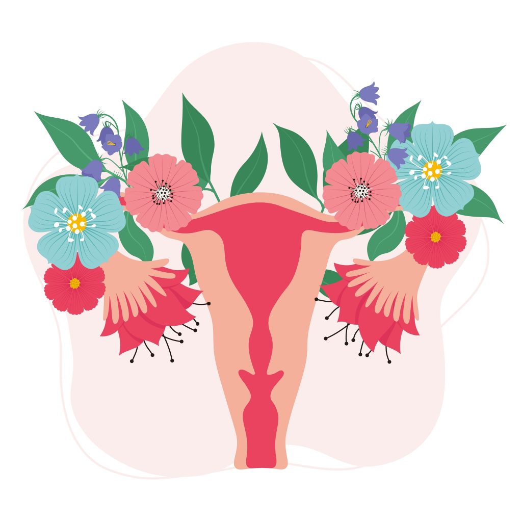female reproductive system flowers uterus womb