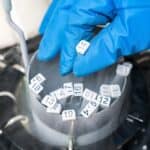 liquid nitrogen bank containing sperm eggs