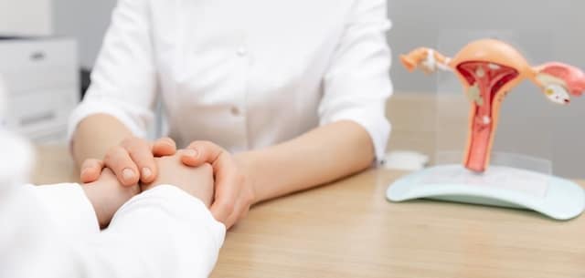 fertility clinic consultation showing doctor holding patient’s hand with reproductive system model