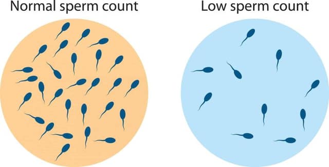 Low sperm count tips illustration showing semen sample and male fertility analysis