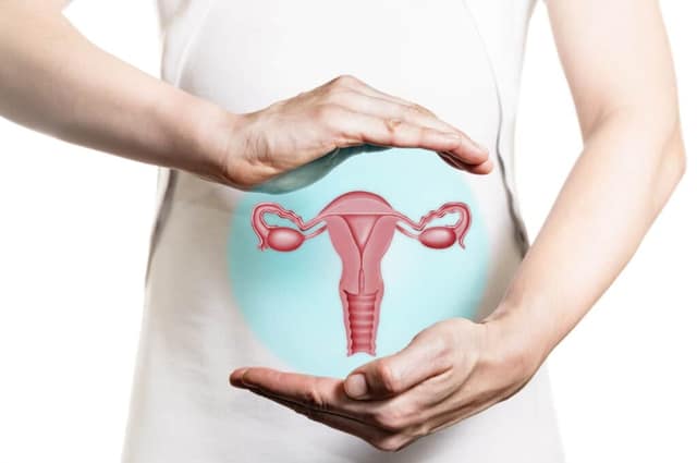 Perimenopause pregnancy illustration of uterus held in hands representing fertility during hormonal changes