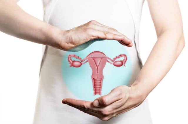 Perimenopause pregnancy illustration of uterus held in hands representing fertility during hormonal changes