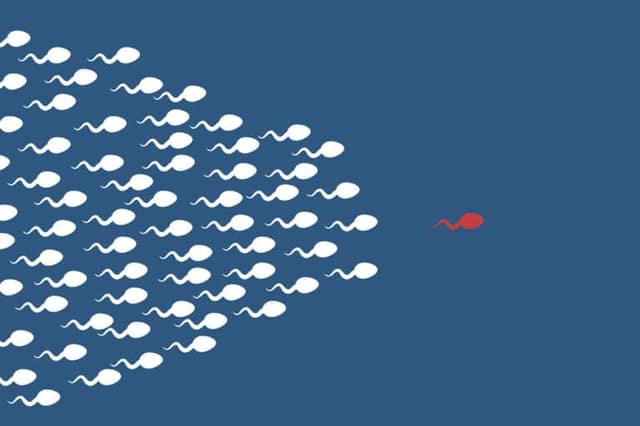 sperm cell leader background moving