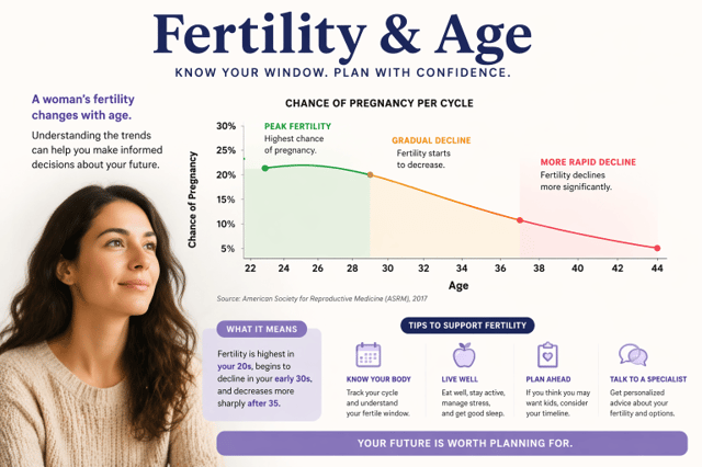 fertility age – infographic showing how female fertility declines with age and pregnancy chances over time