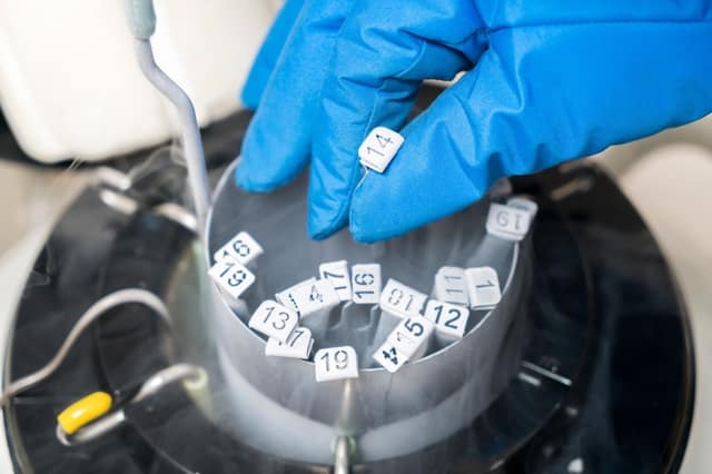 liquid nitrogen bank containing sperm eggs