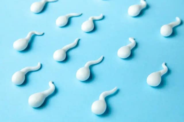 group sperm on blue background