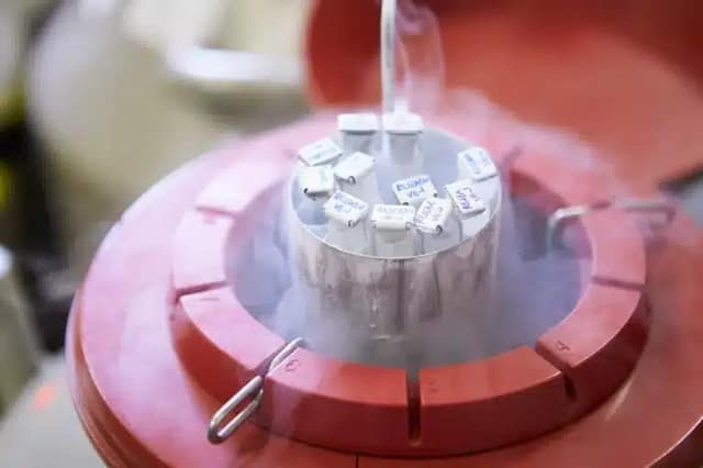 frozen-storage-sperm-bank