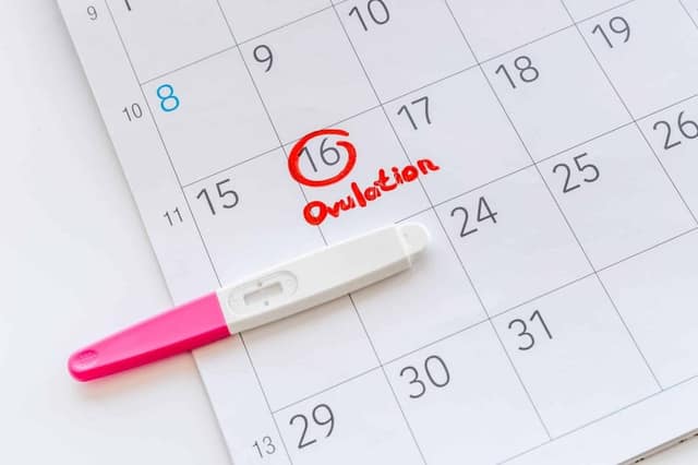 ovulation day mark calendar home test pregnancy