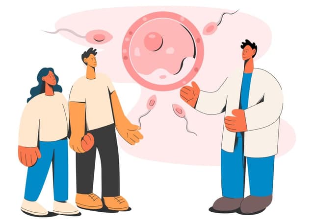 Choosing a fertility clinic couple consulting a doctor about fertility treatment and options