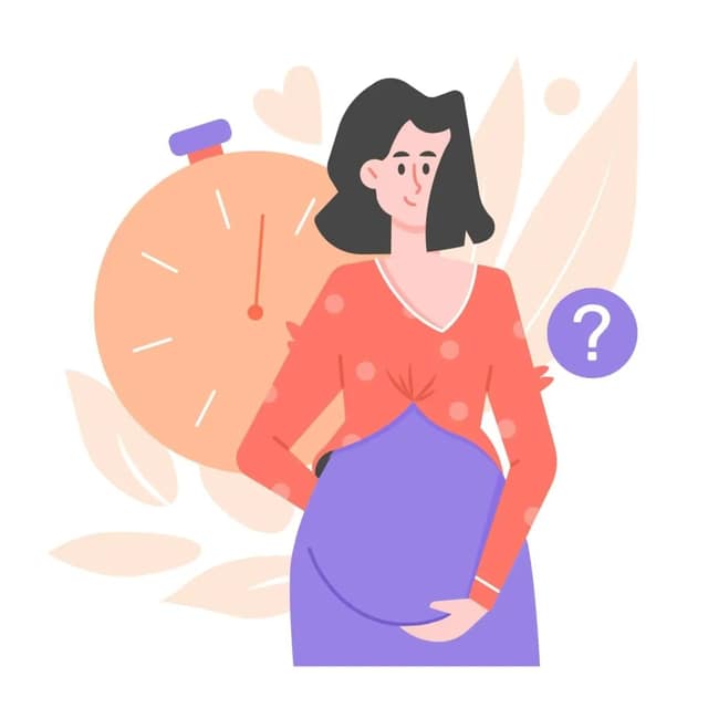 due date calculator illustration showing pregnant woman with clock and pregnancy timeline concept