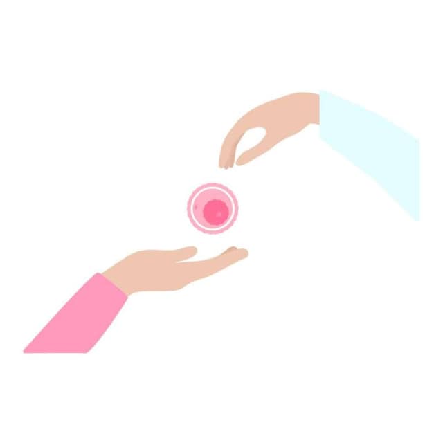 Egg donation process illustration showing hands transferring an egg cell between donor and recipient
