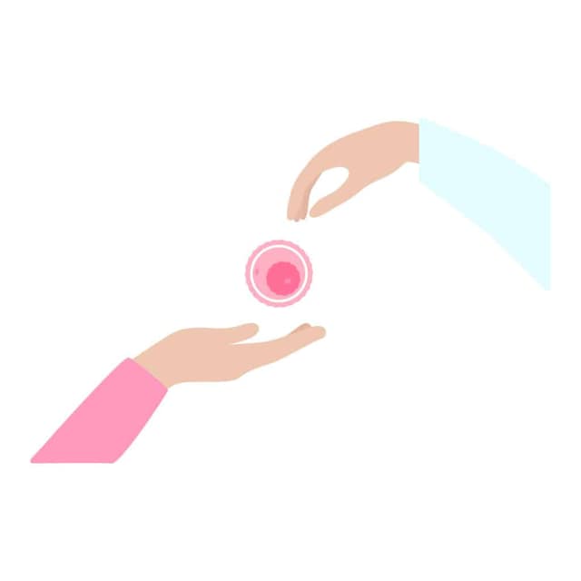 Egg donation process illustration showing hands transferring an egg cell between donor and recipient