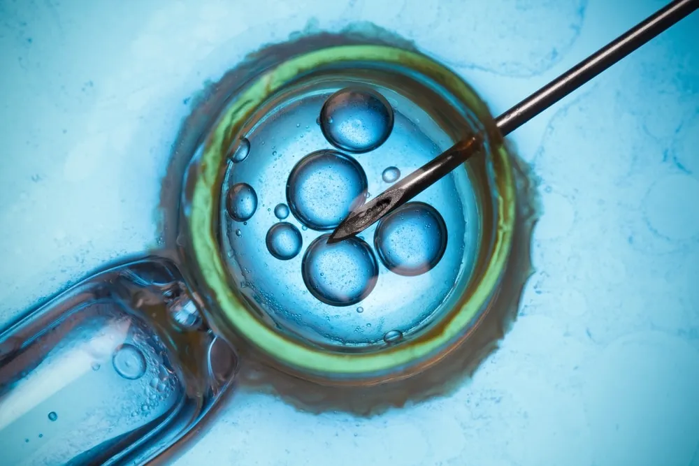 ivf success rate illustration showing embryo injection in laboratory petri dish