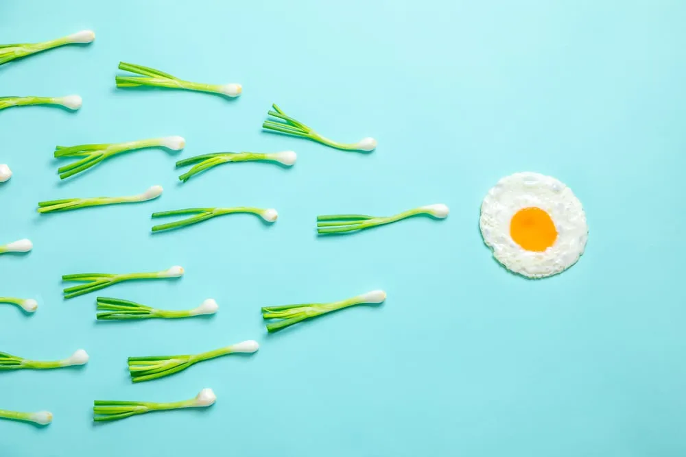 Sperm count foods: foods arranged like sperm cells symbolizing male fertility