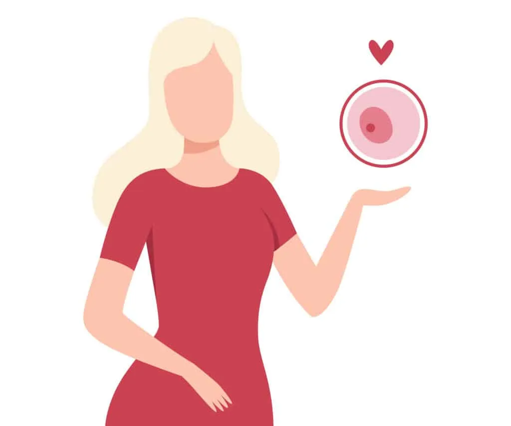 egg donation – illustration of a woman holding an egg cell symbol representing fertility and donation
