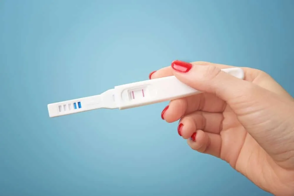 Artificial insemination success rate positive pregnancy test held in hand on blue background